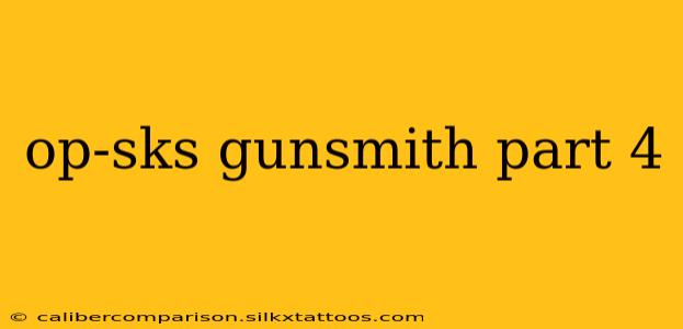 op-sks gunsmith part 4