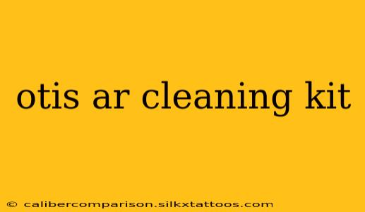 otis ar cleaning kit