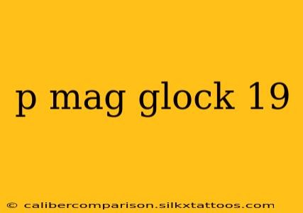 p mag glock 19