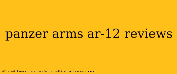 panzer arms ar-12 reviews