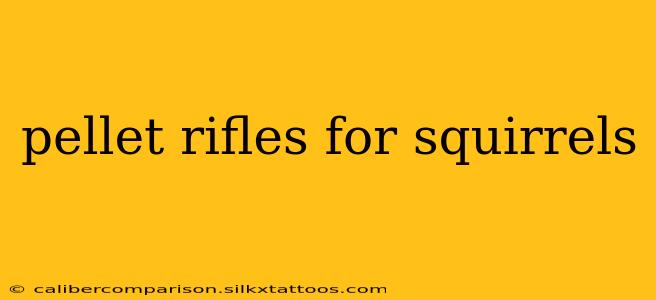 pellet rifles for squirrels