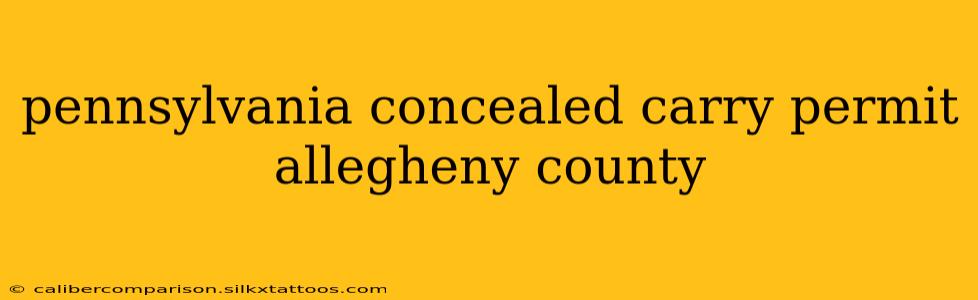 pennsylvania concealed carry permit allegheny county