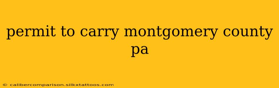 permit to carry montgomery county pa