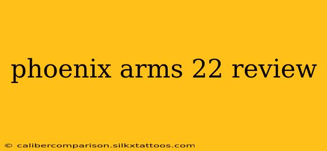 phoenix arms 22 review