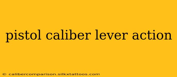 pistol caliber lever action