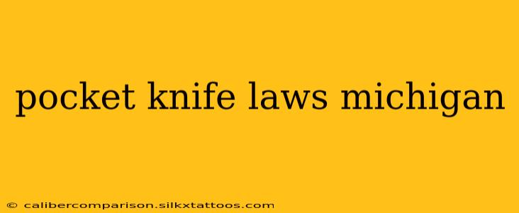 pocket knife laws michigan