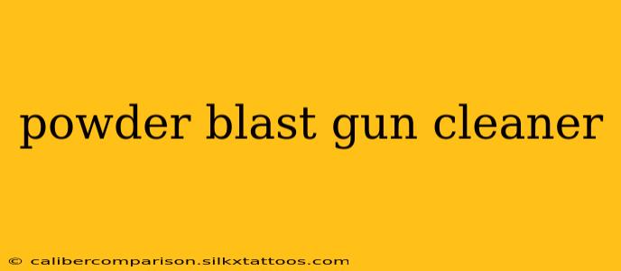 powder blast gun cleaner