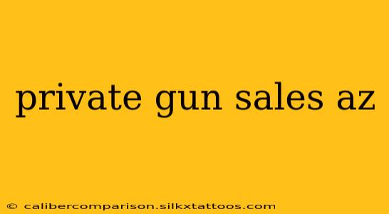 private gun sales az