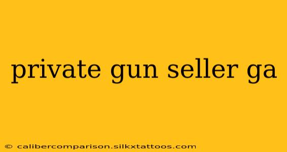 private gun seller ga