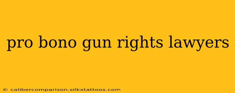 pro bono gun rights lawyers