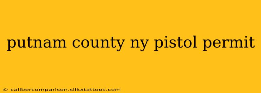 putnam county ny pistol permit