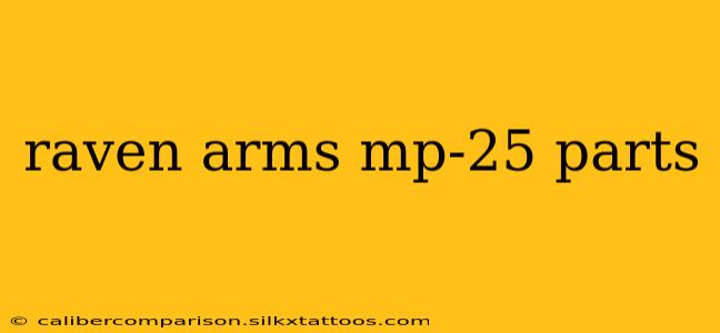 raven arms mp-25 parts