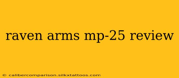 raven arms mp-25 review