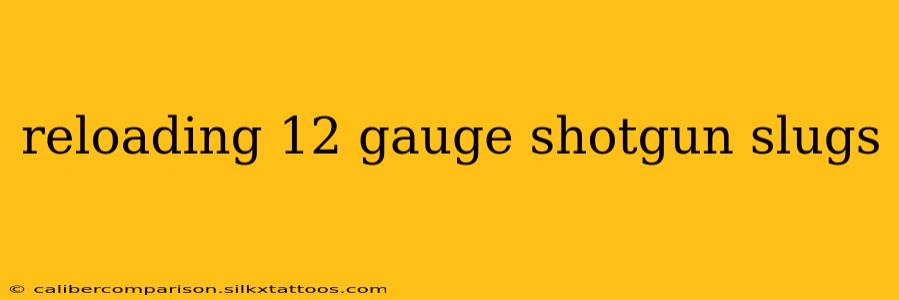 reloading 12 gauge shotgun slugs