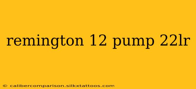 remington 12 pump 22lr