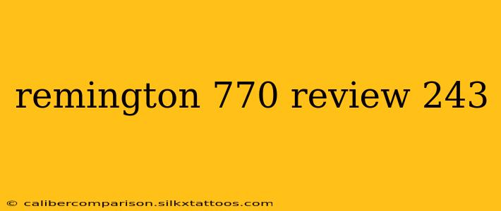 remington 770 review 243