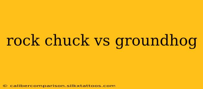 rock chuck vs groundhog