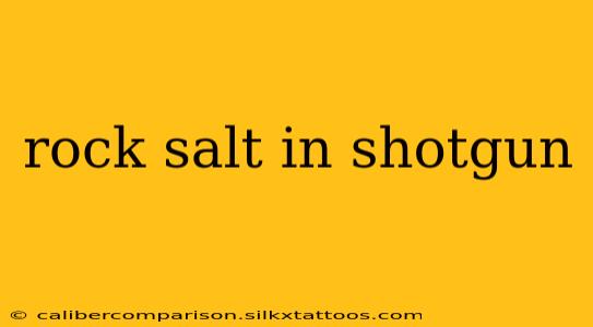 rock salt in shotgun