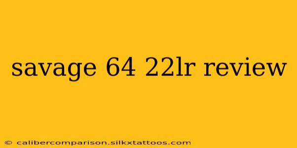 savage 64 22lr review