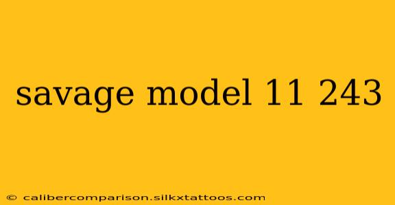 savage model 11 243