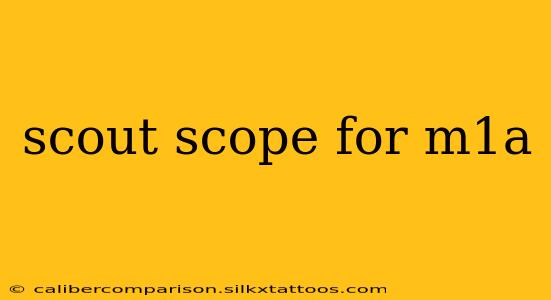 scout scope for m1a