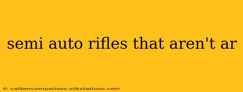 semi auto rifles that aren't ar