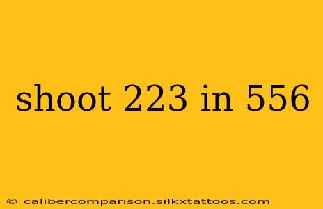 shoot 223 in 556