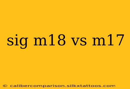 sig m18 vs m17