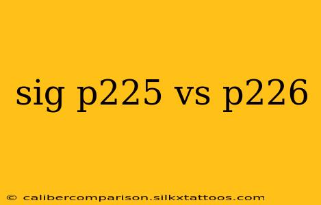 sig p225 vs p226