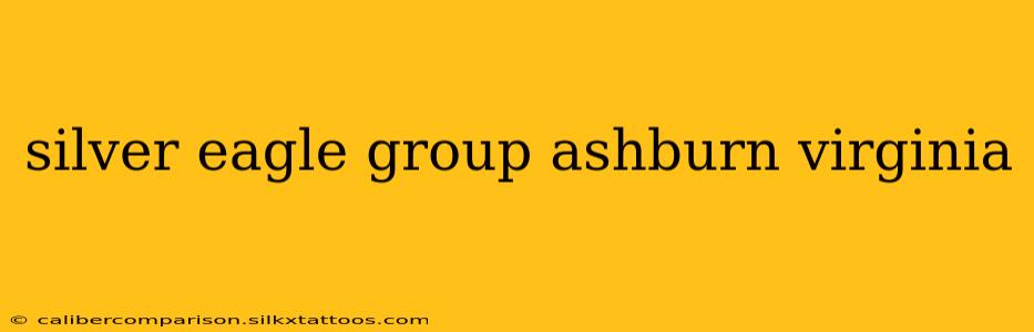 silver eagle group ashburn virginia