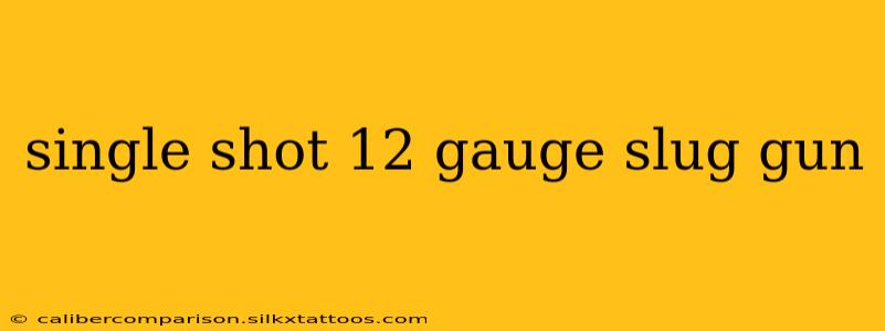 single shot 12 gauge slug gun