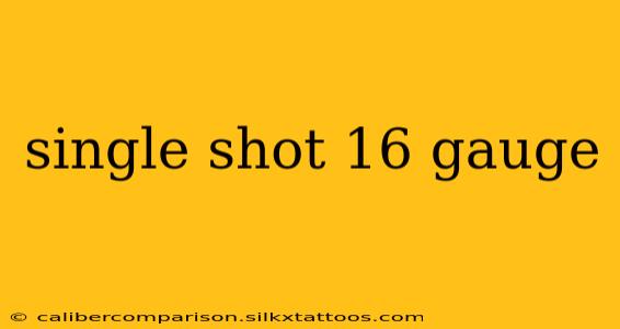 single shot 16 gauge