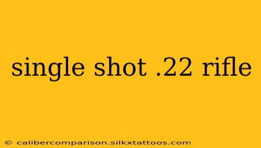 single shot .22 rifle