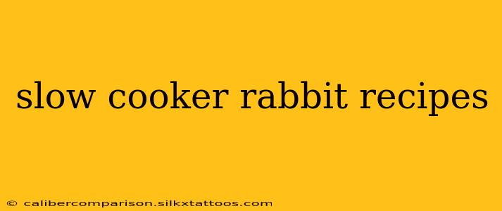 slow cooker rabbit recipes