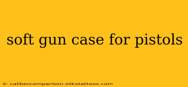 soft gun case for pistols