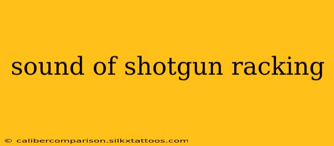 sound of shotgun racking