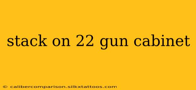 stack on 22 gun cabinet