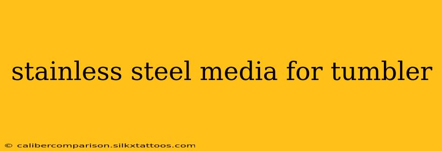 stainless steel media for tumbler