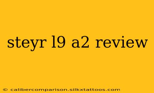 steyr l9 a2 review