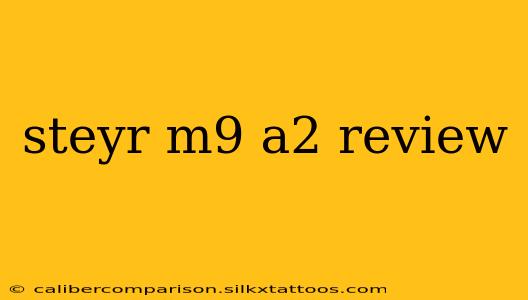 steyr m9 a2 review