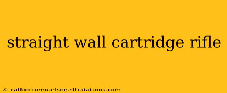 straight wall cartridge rifle