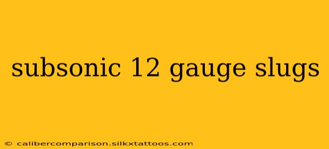 subsonic 12 gauge slugs