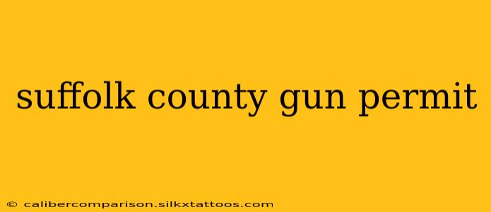 suffolk county gun permit