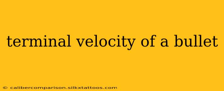 terminal velocity of a bullet