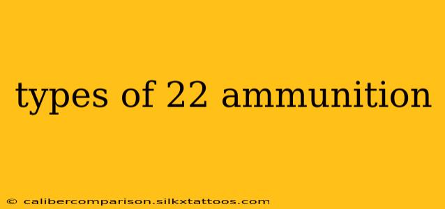 types of 22 ammunition