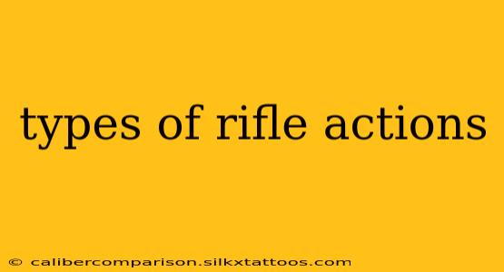 types of rifle actions