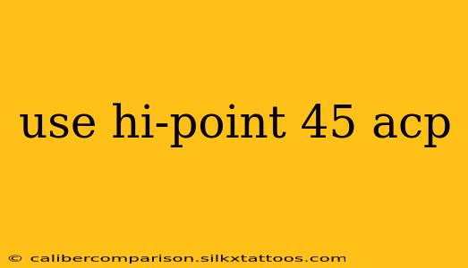 use hi-point 45 acp