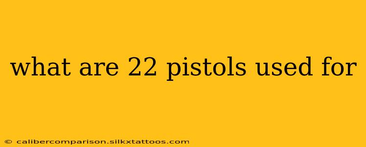 what are 22 pistols used for