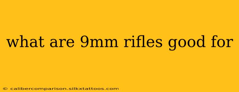 what are 9mm rifles good for