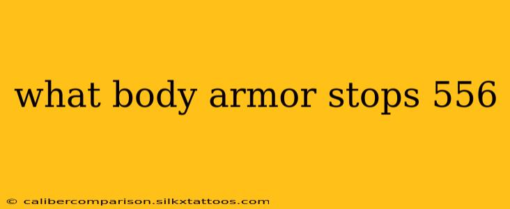 what body armor stops 556